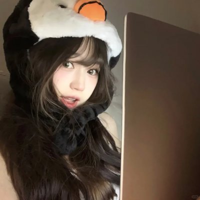 帝企鹅日记